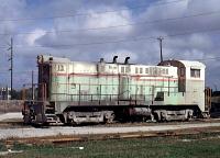 Brewster Phosphate 13