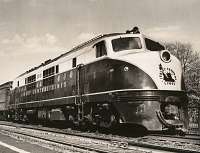 CNJ 2001