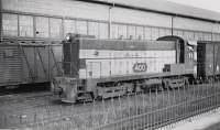 CNW 71