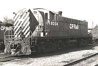 CPR 8004