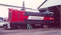 IMM 1954