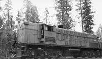 McCloud River 28