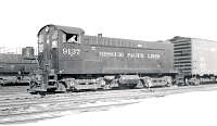 MP 9137