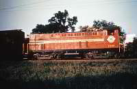NS 1002