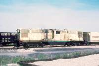 Peabody 50