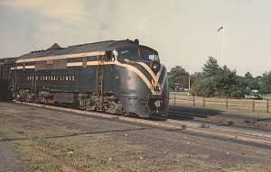 CNJ 2003