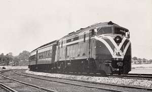 CNJ 2004-2