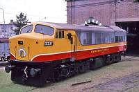 FNGR 5037