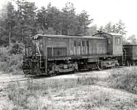 Washington-Western 5