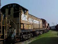 U.S.P&F 37